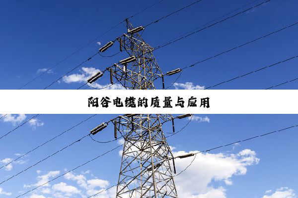 阳谷电缆的质量与应用